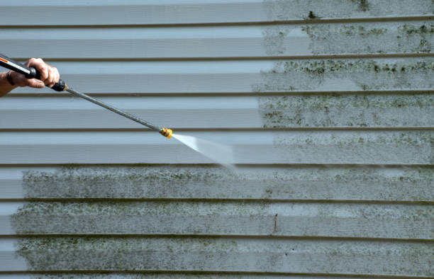 Mold Removal Process in Bellingham, WA