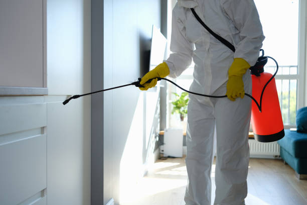 Professional Mold Removal in Bellingham, WA