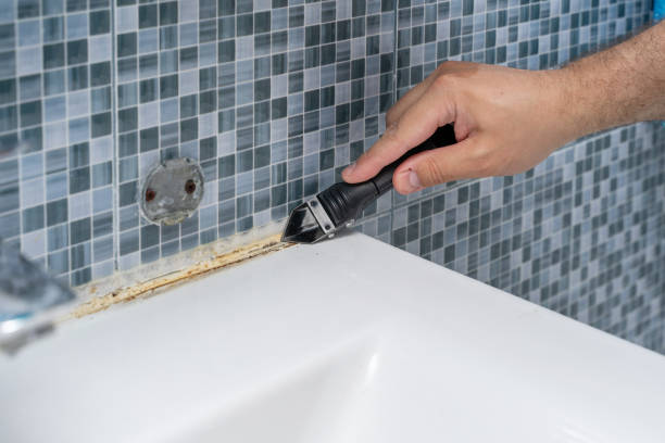 Best Professional Mold Removal  in Bellingham, WA
