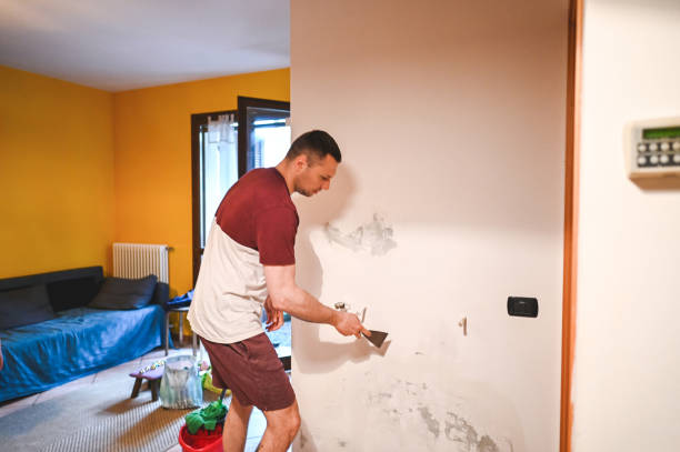 Crawl Space Mold Removal in Bellingham, WA